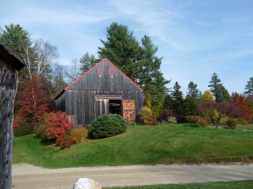 1836 barn with fall foliage (Enkianthus campanulatus in foreground)